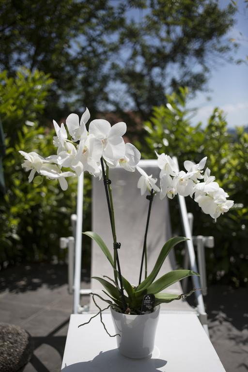 Orchidea Villa Beverino Exterior foto